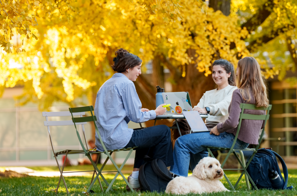 Students sitting at a table in front of a tree.