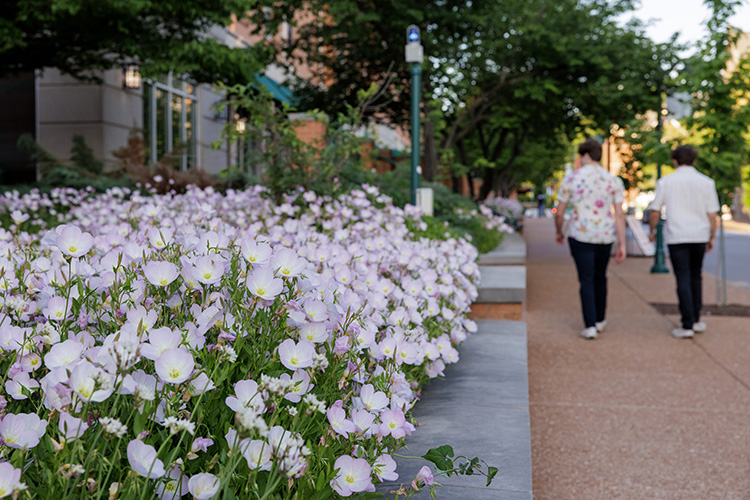 Students walking on campus with flowers